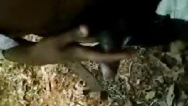 કાળી fucked કેટરીના સેકસી વીડિયો તમામ તિરાડો વહન, એક કાગળ બેગ તેના માથા પર