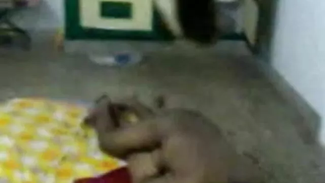 સુંદર કડક નંગા સેકસી વીડિયો અને હોટ ચિક કરી blowjob પર બધા ચોક્કા અને એડવાન્સિસ સભ્યો